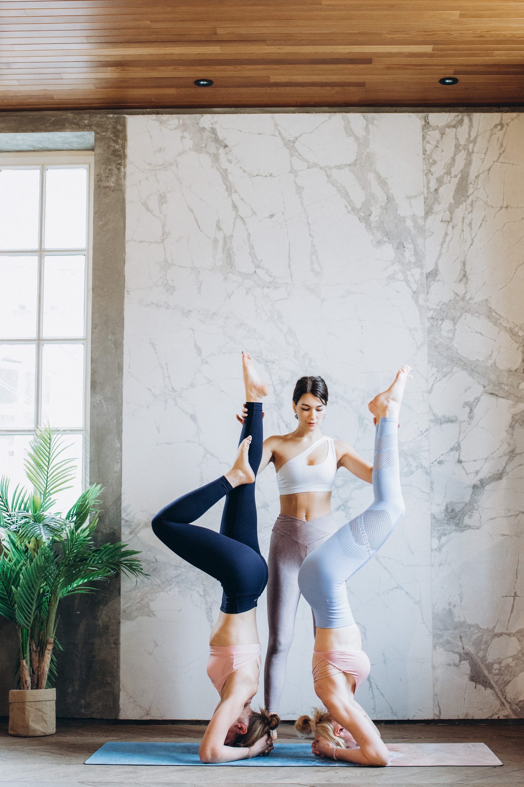onlie-kurs fuer yogalehrer